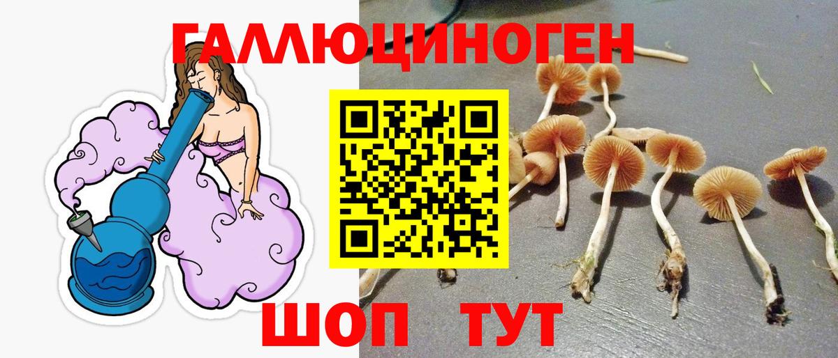 Галлюциногенные грибы Psilocybe  купить закладку  Унеча  Вход с VPN 